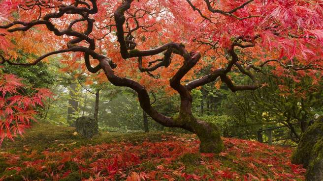 38cb5ef8-0379-4a95-9f66-131c02735c84